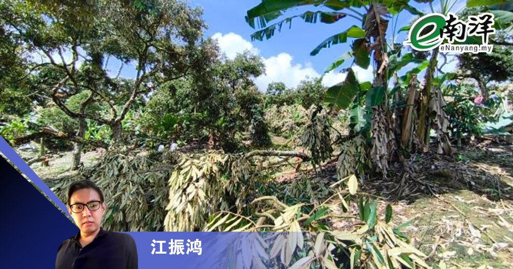 火箭忘了身分?/江振鸿